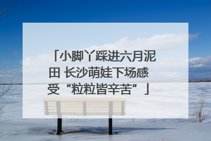 小脚丫踩进六月泥田 长沙萌娃下场感受“粒粒皆辛苦”