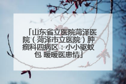山东省立医院菏泽医院（菏泽市立医院）肿瘤科四病区：小小驱蚊包 暖暖医患情