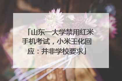 山东一大学禁用红米手机考试，小米王化回应：并非学校要求