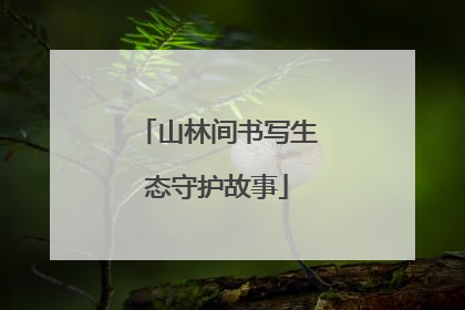山林间书写生态守护故事