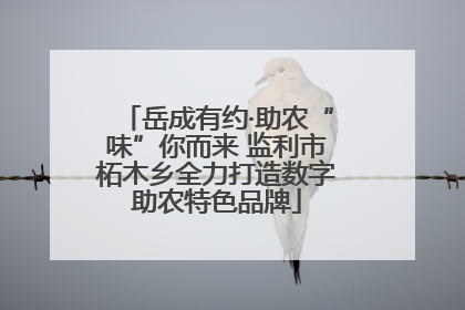岳成有约·助农“味”你而来 监利市柘木乡全力打造数字助农特色品牌