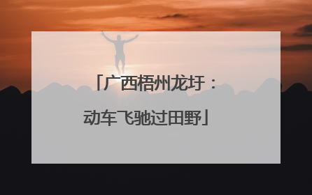广西梧州龙圩：动车飞驰过田野