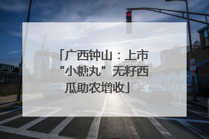广西钟山：上市“小糖丸”无籽西瓜助农增收