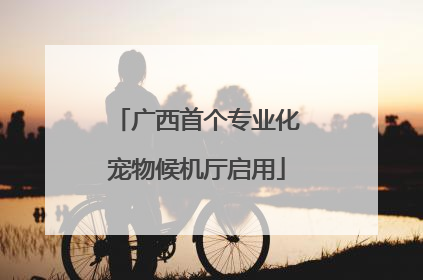 广西首个专业化宠物候机厅启用