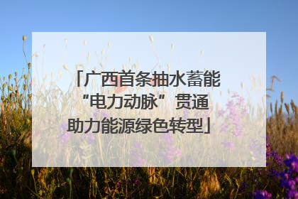 广西首条抽水蓄能“电力动脉”贯通 助力能源绿色转型