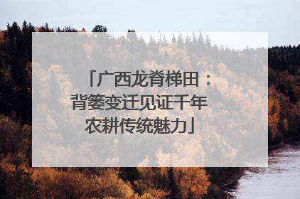 广西龙脊梯田：背篓变迁见证千年农耕传统魅力