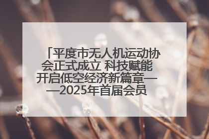 平度市无人机运动协会正式成立 科技赋能开启低空经济新篇章——2025年首届会员大会暨无人机应用发展论坛成功举办