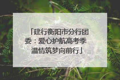 建行衡阳市分行团委：爱心护航高考季 温情筑梦向前行