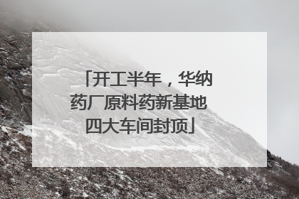开工半年，华纳药厂原料药新基地四大车间封顶
