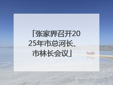 张家界召开2025年市总河长、市林长会议