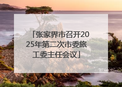 张家界市召开2025年第二次市委旅工委主任会议