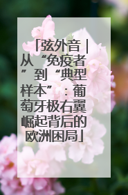 弦外音｜从“免疫者”到“典型样本”：葡萄牙极右翼崛起背后的欧洲困局