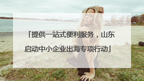 提供一站式便利服务，山东启动中小企业出海专项行动