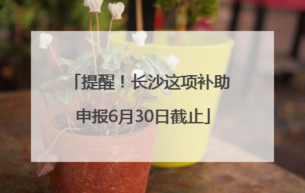 提醒！长沙这项补助申报6月30日截止