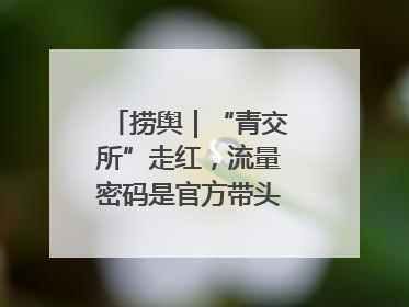 捞舆｜“青交所”走红，流量密码是官方带头“玩起来”
