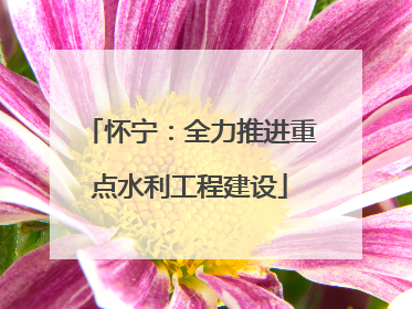 怀宁：全力推进重点水利工程建设