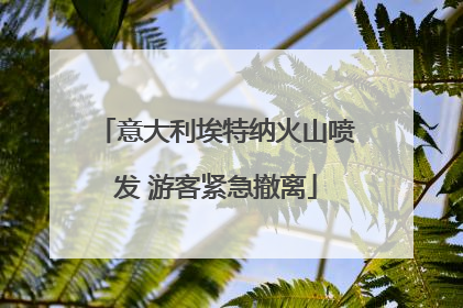 意大利埃特纳火山喷发 游客紧急撤离