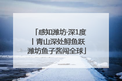 感知潍坊·深1度丨青山深处鲟鱼跃 潍坊鱼子酱闯全球