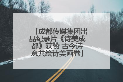 成都传媒集团出品纪录片《诗美成都》获赞 古今诗意共绘诗美画卷