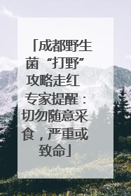 成都野生菌“打野”攻略走红 专家提醒：切勿随意采食，严重或致命