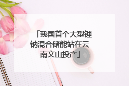 我国首个大型锂钠混合储能站在云南文山投产
