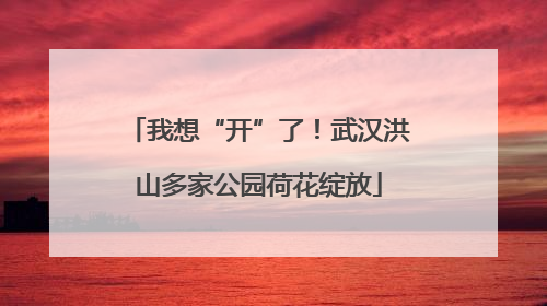我想“开”了！武汉洪山多家公园荷花绽放