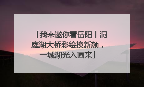我来邀你看岳阳丨洞庭湖大桥彩绘换新颜，一城湖光入画来