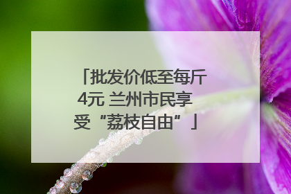 批发价低至每斤4元 兰州市民享受“荔枝自由”
