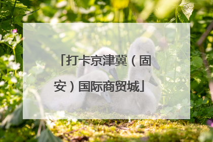 打卡京津冀（固安）国际商贸城