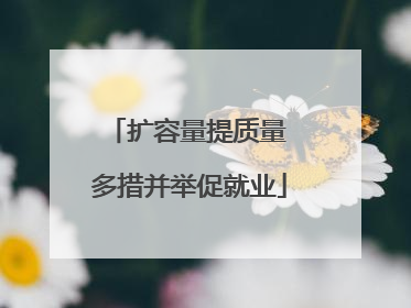 扩容量提质量 多措并举促就业