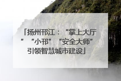 扬州邗江：“掌上大厅”“小邗”“安全大师”引领智慧城市建设