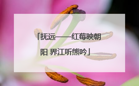 抚远——红莓映朝阳 界江听熊吟