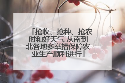 抢收、抢种、抢农时和好天气 从南到北各地多举措保障农业生产顺利进行