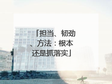 担当、韧劲、方法：根本还是抓落实