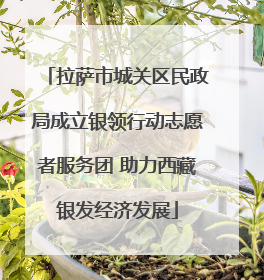拉萨市城关区民政局成立银领行动志愿者服务团 助力西藏银发经济发展