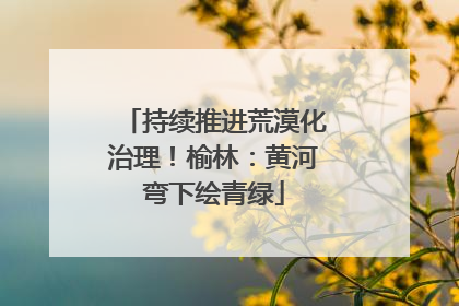 持续推进荒漠化治理！榆林：黄河弯下绘青绿