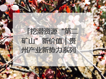 挖潜资源“第二矿山”新价值｜贵州产业新势力系列报道之十四