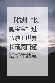 杭州“长腿宝宝”过节啦！世界长颈鹿日邂逅新生幼崽