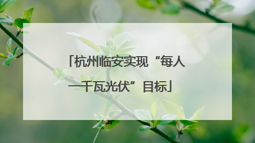 杭州临安实现“每人一千瓦光伏”目标