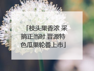 枝头果香浓 采摘正当时 晋源特色瓜果轮番上市