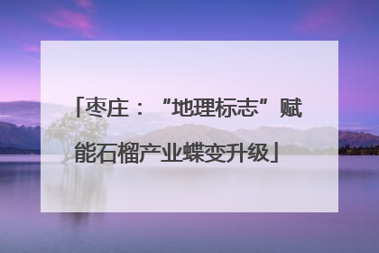 枣庄：“地理标志”赋能石榴产业蝶变升级