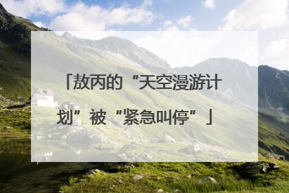 敖丙的“天空漫游计划”被“紧急叫停”