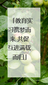 教育实习携梦而来 共促互进满载而归
