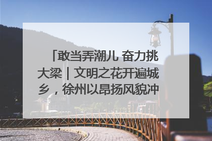 敢当弄潮儿 奋力挑大梁｜文明之花开遍城乡，徐州以昂扬风貌冲刺“万亿之城”