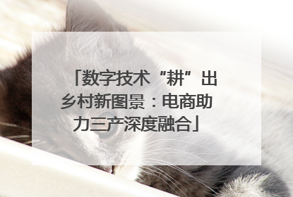 数字技术“耕”出乡村新图景：电商助力三产深度融合