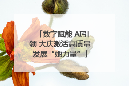 数字赋能 AI引领 大庆激活高质量发展“她力量”