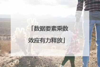 数据要素乘数效应有力释放