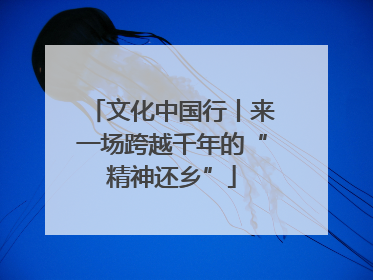文化中国行丨来一场跨越千年的“精神还乡”