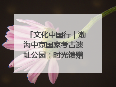 文化中国行｜渤海中京国家考古遗址公园：时光馈赠的宝藏 历史凝固的诗篇
