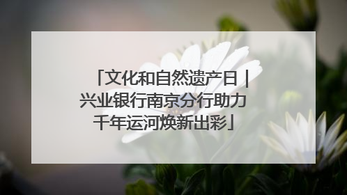文化和自然遗产日｜兴业银行南京分行助力千年运河焕新出彩
